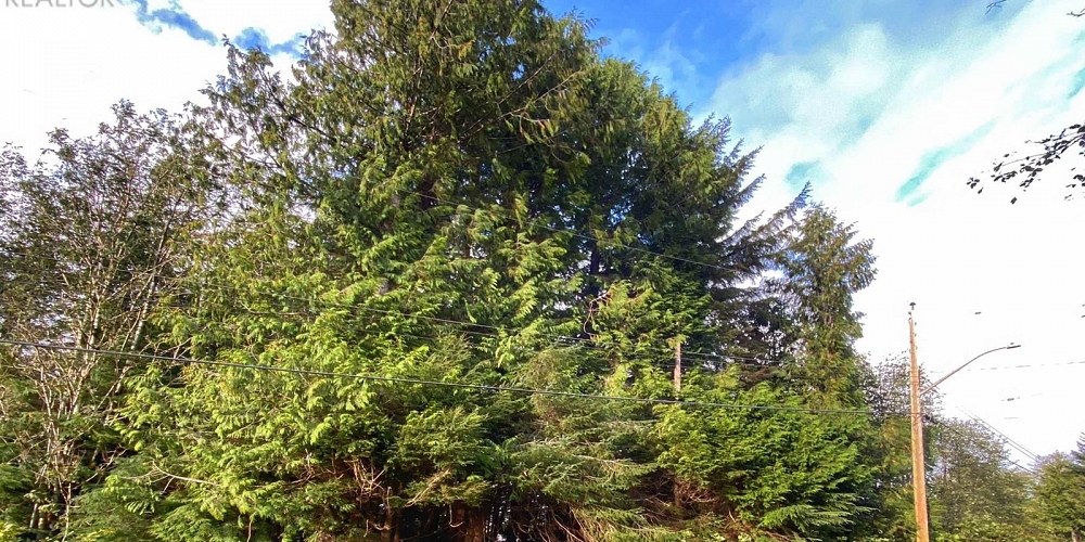 916 JUBILEE DRIVE Port Edward Photo 4 916 JUBILEE DRIVE Port Edward Photo 4